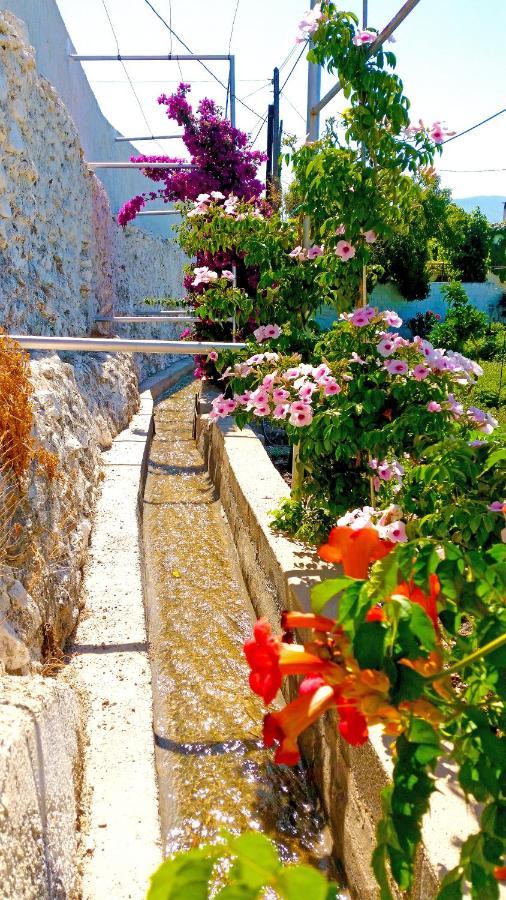 Villa Adelaida オルヒバ エクステリア 写真